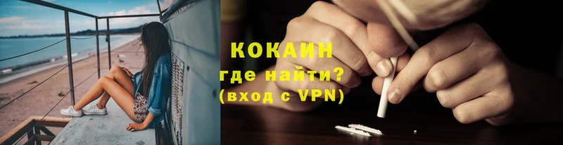 где продают   Краснослободск  COCAIN VHQ 