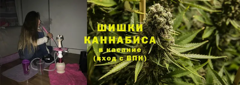 darknet официальный сайт  гидра как войти  Краснослободск  Канабис сатива 